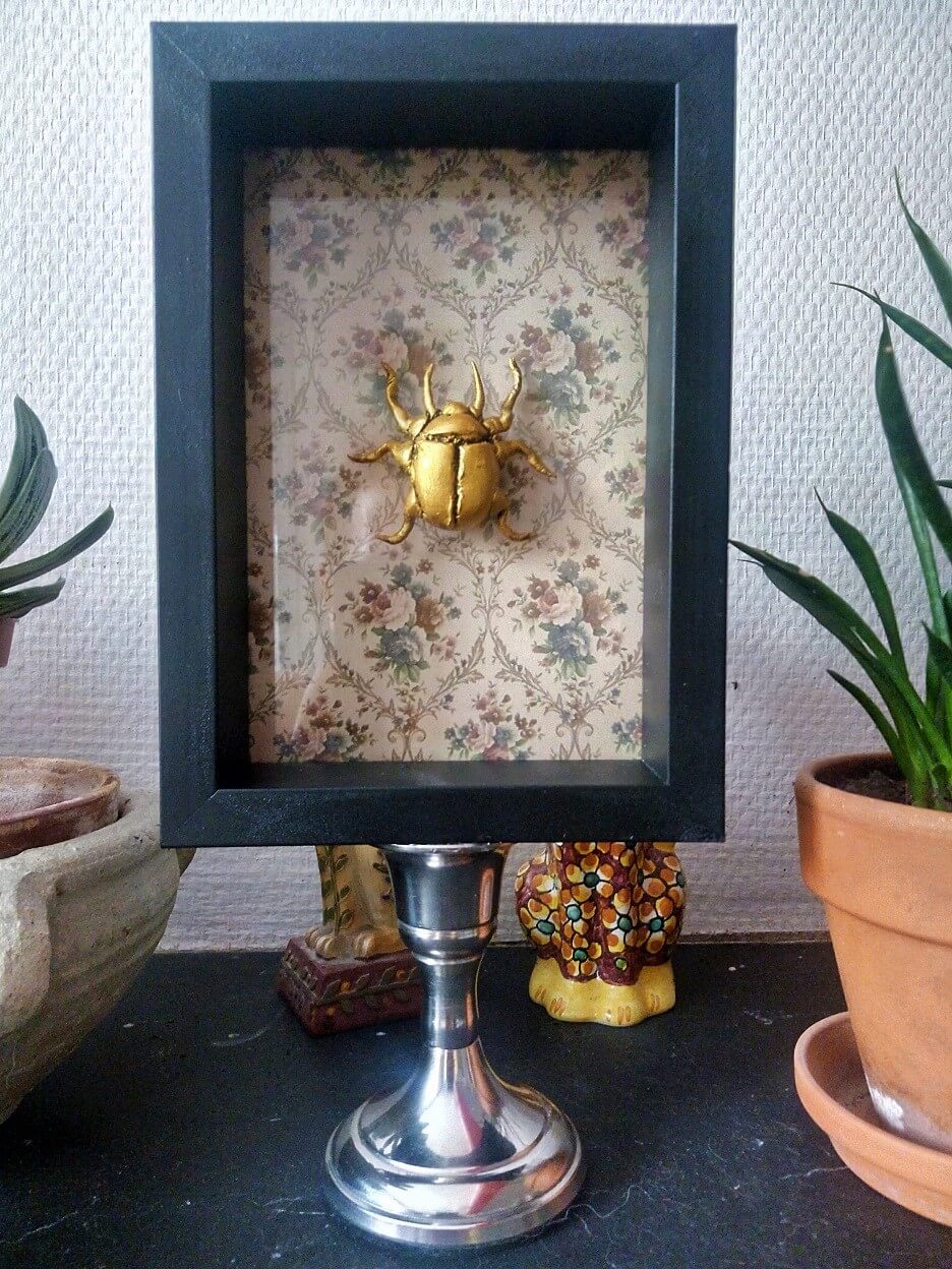 Reliquaire entomologique